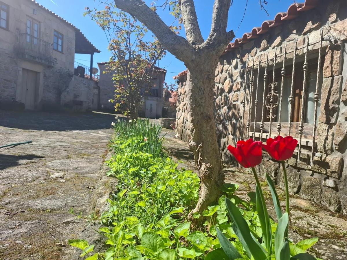 Casas Do Juizo - Country Houses ภายนอก รูปภาพ