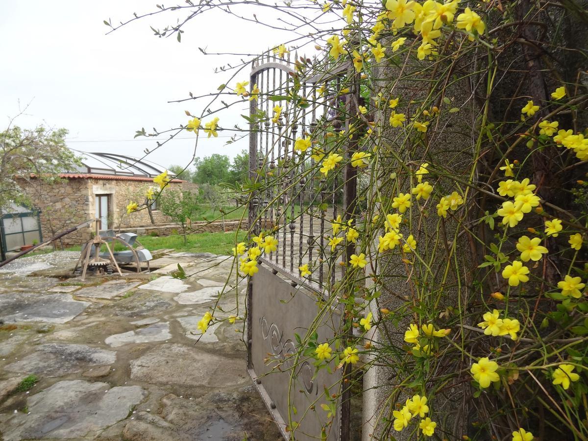 Casas Do Juizo - Country Houses ภายนอก รูปภาพ